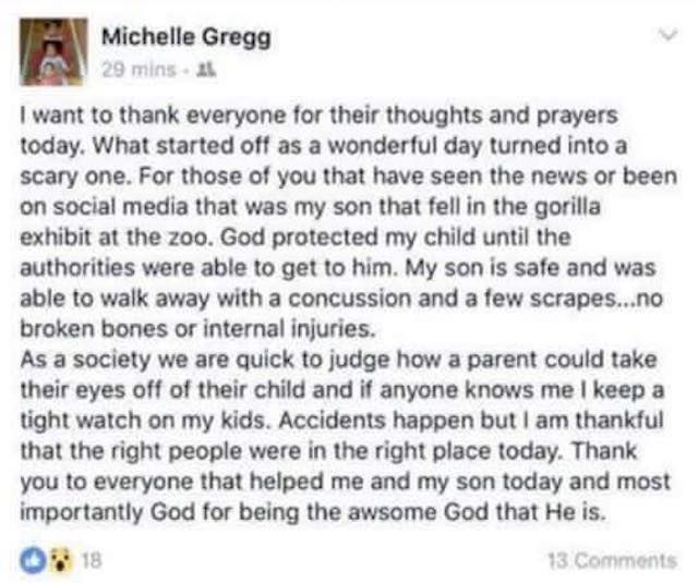 Michelle Gregg-Gorillda Story