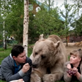 This couple has a gentle 7-foot tall, 21-stone bear for a pet