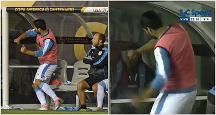 Luis Suarez throws a tantrum as Uruguay get knocked out of the Copa America