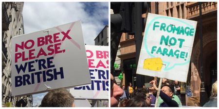 Here are the all the best banners from today’s post-referendum protest