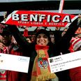 Benfica’s new home and away kits give a new meaning to the beautiful game