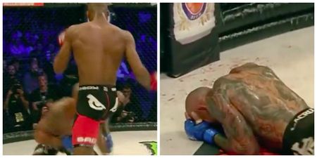 Brazilian MMA fighter left with cracked skull after brutal KO