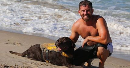 This guy and his dying dog are doing an amazing “farewell holiday” together