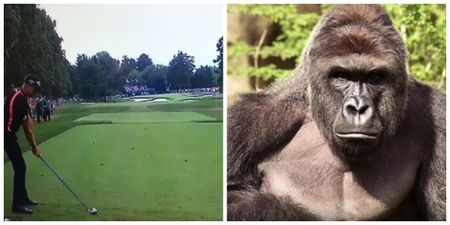Harambe hecklers were the talk of the 2016 PGA Championship