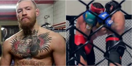 Conor McGregor looks strong and sharp sparring boxing champion ready for Nate Diaz