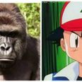 Thousands of people are asking Nintendo to turn this dead gorilla into a Pokemon