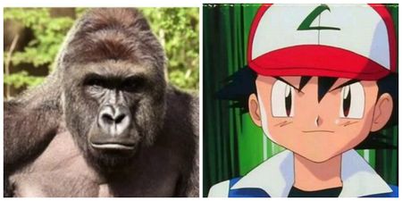 Thousands of people are asking Nintendo to turn this dead gorilla into a Pokemon