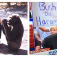 Bush pictured with Harambe’s mum has spawned batshit “inside job” conspiracy theories