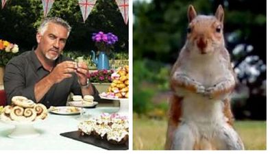 Bake Off fans are furious after the squirrel with the giant balls disappears from the show