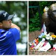 American golfer pays tribute to Harambe during PGA tour event
