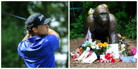 American golfer pays tribute to Harambe during PGA tour event