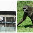 People have spotted someone mooning in this photo of Man City’s stadium