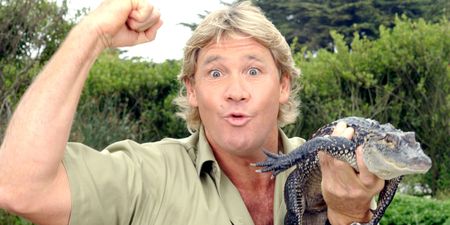 Here’s how to support the campaign to get Steve Irwin’s face on Australian money