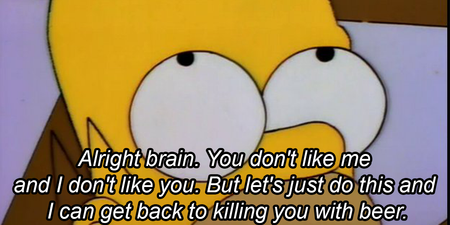 21 times Homer Simpson completely summed up being a man