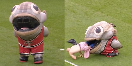 Man-eating fish provides brilliant half-time entertainment at Derby’s Pride Park