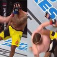 Roy Nelson’s huge KO win over ‘Bigfoot’ overshadowed by this referee kicking incident