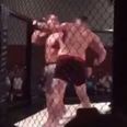 Conor McGregor’s SBG teammate scored a brutal 4th KO in a row at middleweight