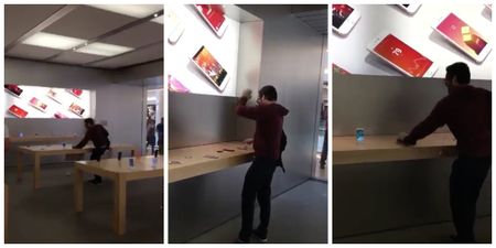 Furious man walks into an Apple store and smashes every iPhone in sight