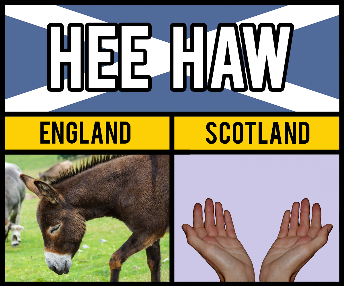 hee haw