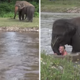 This video of an elephant rushing into water to save a man is incredible