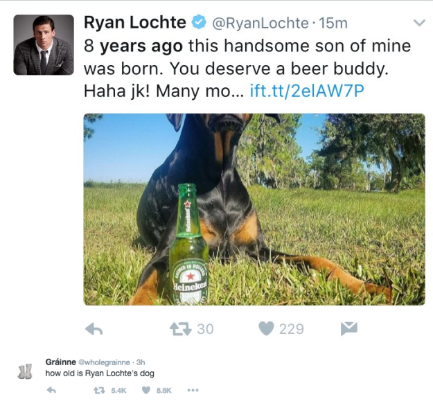 Dog Lochte 2016