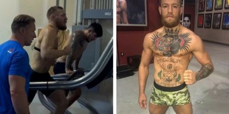 Conor McGregor is releasing the exact training plan he beasted for the Nate Diaz fight