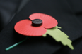 ‘Poppy shamers’ are spreading false rumours about wearing your poppy in public