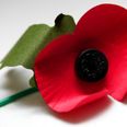 The sanctimonious poppy police should perhaps spend more time in quiet remembrance