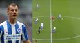 Watch Steve Sidwell score wonder goal from halfway for Brighton