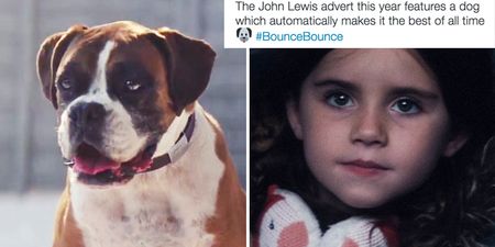 People are losing it over this year’s dog-themed John Lewis Christmas ad