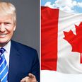 Donald Trump wins Florida as Canadian immigration website crashes