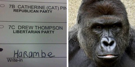 ‘Thousands’ of Americans voted for Harambe and now people are freaking out