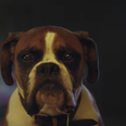 The new John Lewis Xmas ad is here and it’s very different from any that have come before