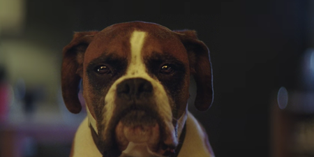 The new John Lewis Xmas ad is here and it’s very different from any that have come before