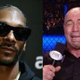 Snoop Dogg’s UFC 205 commentary is absolutely immense