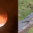 This man warned of ‘Supermoon earthquake’ in eerie Facebook post days before huge New Zealand quake