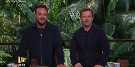 Ant and Dec are taking major flak for this Stephen Hawking joke on ‘I’m a Celebrity’