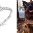 11 alternative and slightly out-there ways you can propose