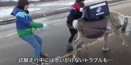 Domino’s are getting reindeer to deliver pizza in Japan