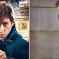 Fantastic Beasts’ Newt Scamander actually featured in a Harry Potter movie
