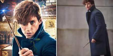 Fantastic Beasts’ Newt Scamander actually featured in a Harry Potter movie