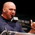 Dana White identifies the man capable of becoming the next big thing at heavyweight