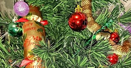 Oh hell no! Aussie woman finds venomous snake hiding in Christmas tree