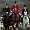 Public opposition to fox hunting reaches all-time high, survey reveals