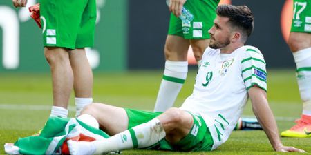 Shane Long’s wonderful gesture to young fan after Euro 2016 defeat has only just been revealed