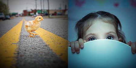 People are freaked out by creepy meaning behind ‘Why did the chicken cross the road?’ joke