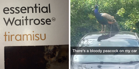18 things you’ll know if you’re painfully middle class