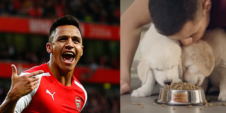 Arsenal fans unveil banner for Alexis Sánchez’s dogs… and not everyone sees the funny side