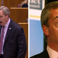 Nigel Farage got royally trolled live on TV in European Parliament