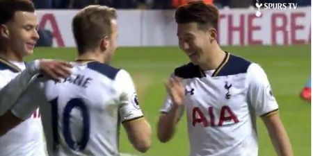 Tottenham Hotspur’s latest compilation is so cringey it’s actually hypnotic
